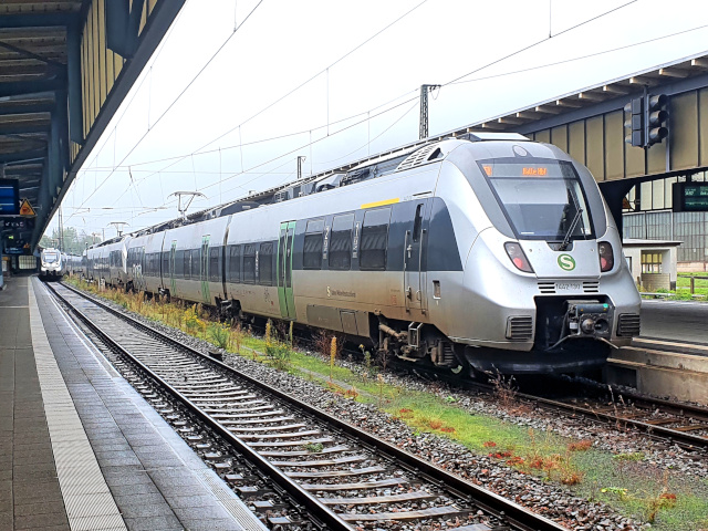 1442 im Hbf Zwickau