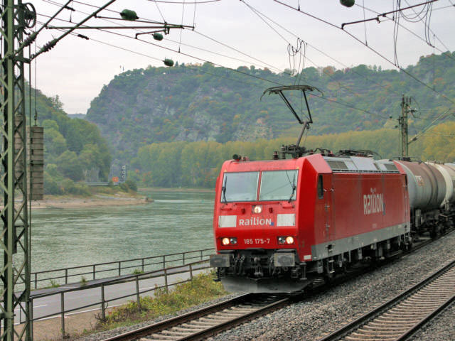 185 �am Rhein beim Kammereck