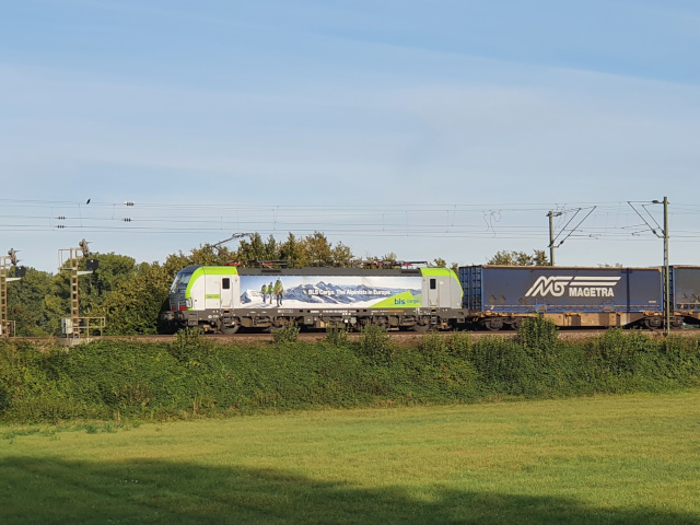 475 an der Elzbrücke bei Sexau