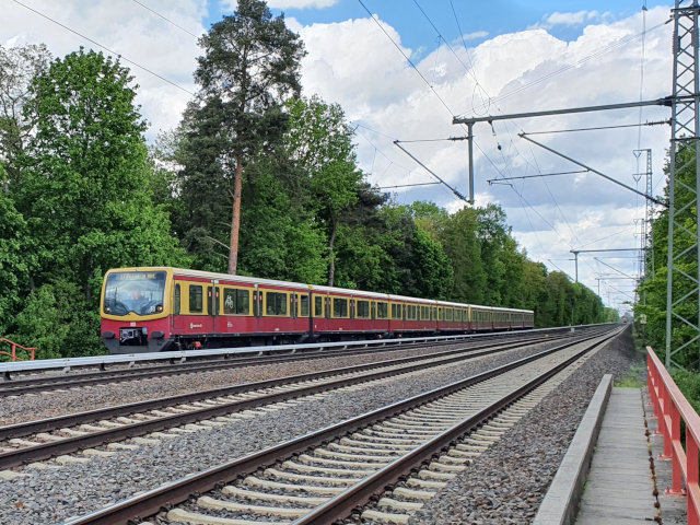 481 �Berlin, Grunewald