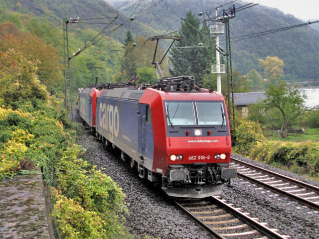 482  am Rhein beim Kammereck