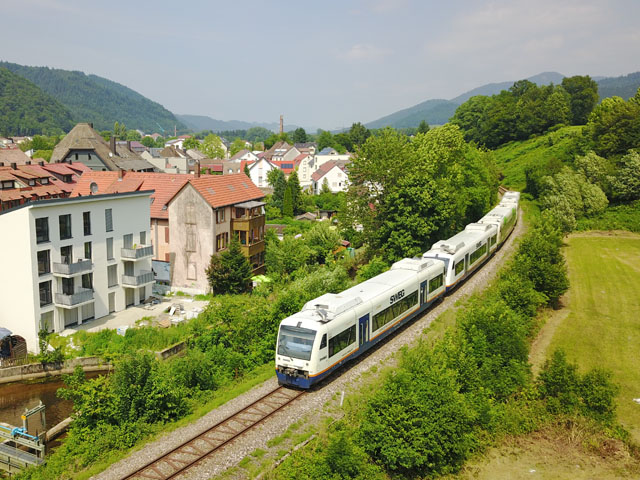 650 in Waldkirch-Kollnau