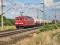 155 123-3 �westlich von Magdeburg-Wellen